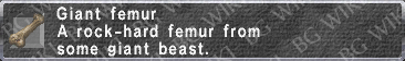 Giant Femur description.png