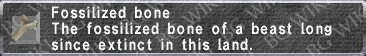 Fossilized Bone description.png