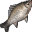 Forest Carp icon.png