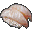 Sole Sushi icon.png